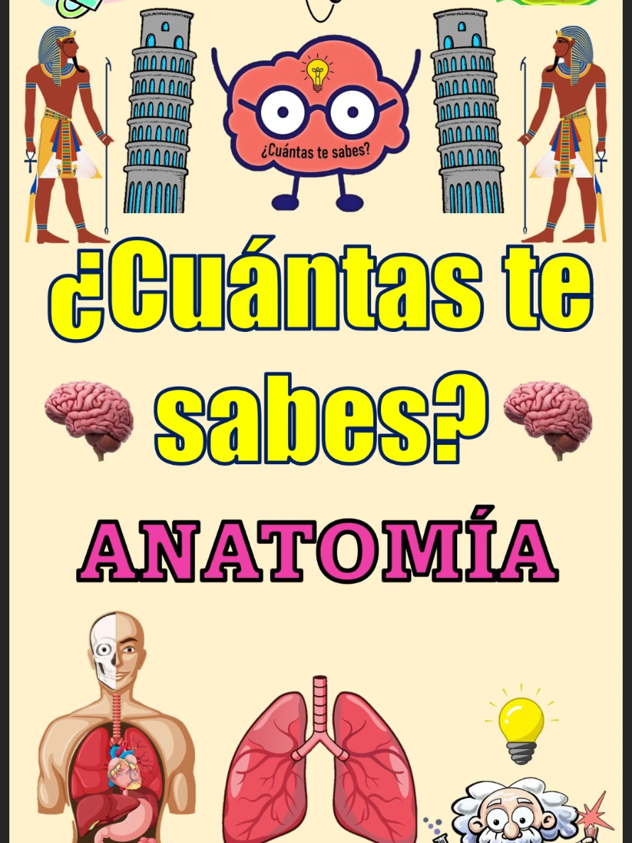 @&iquest;Cu&aacute;ntas te sabes?