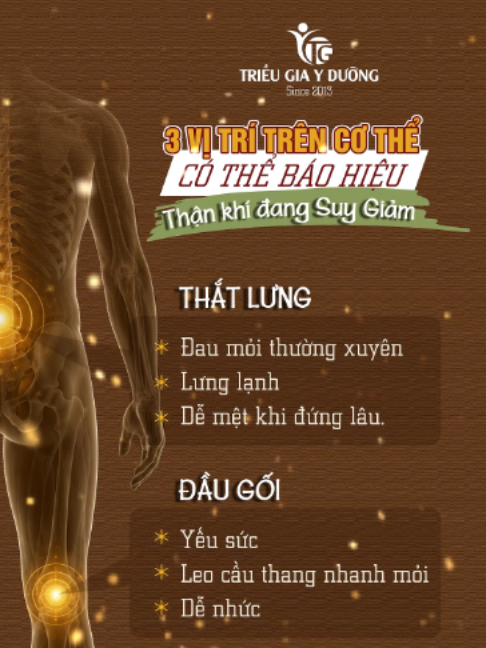 @Triều Gia Y Dưỡng