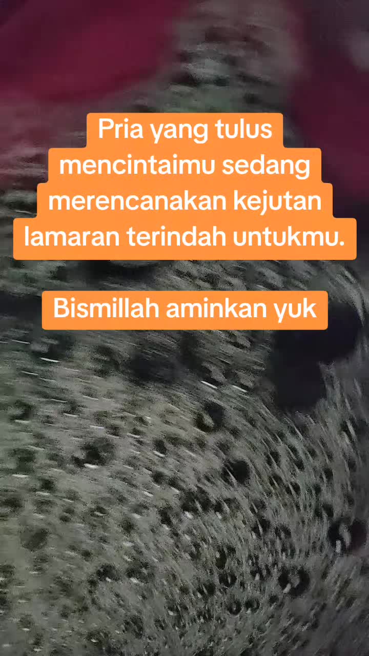 @Mega Widya