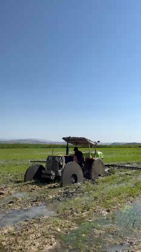 @Arif Altuntaş0619