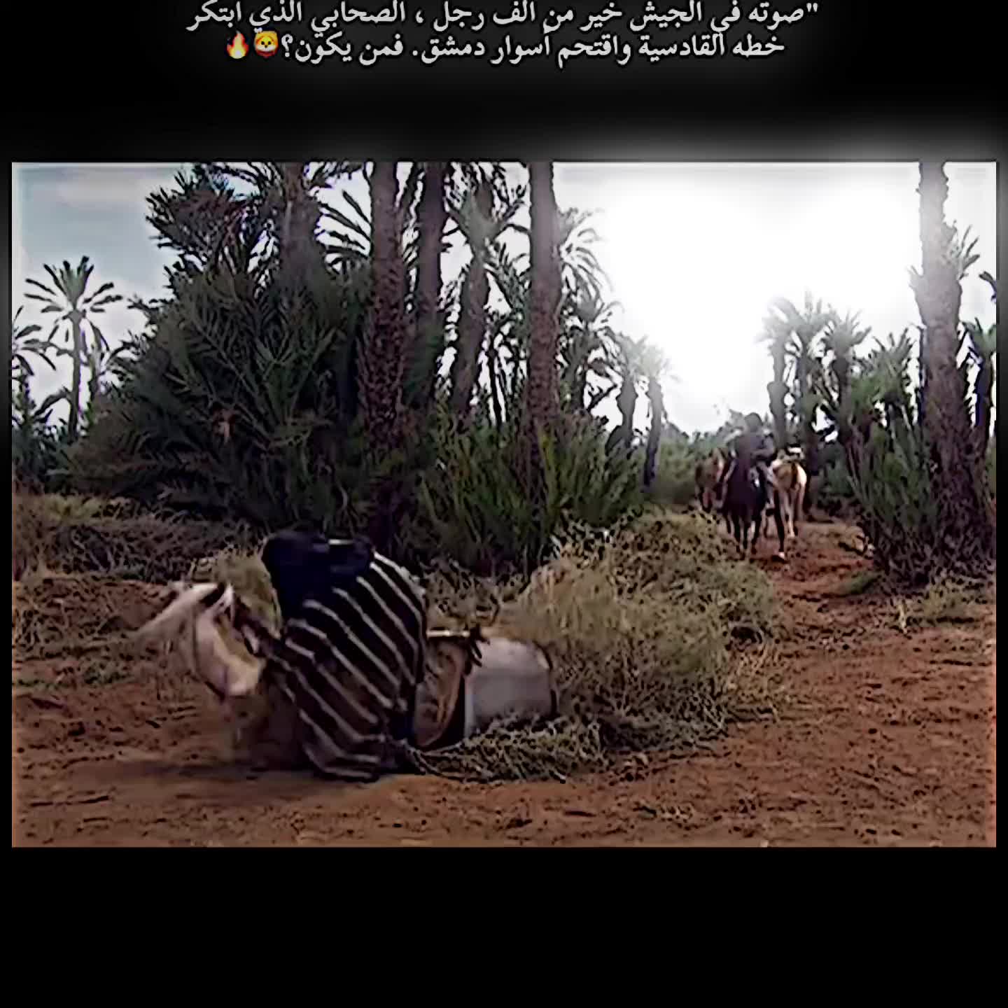 @علوش