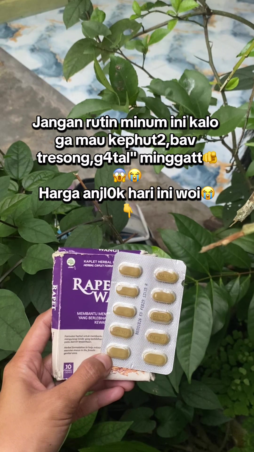 @fifi