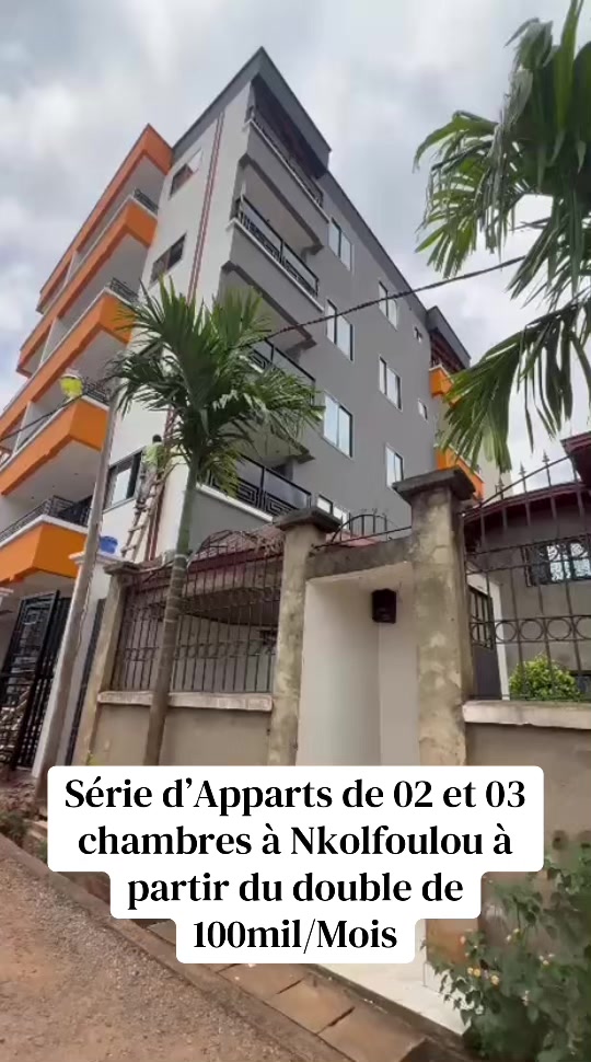 @DINO~IMMO~237🇨🇲🇨🇲