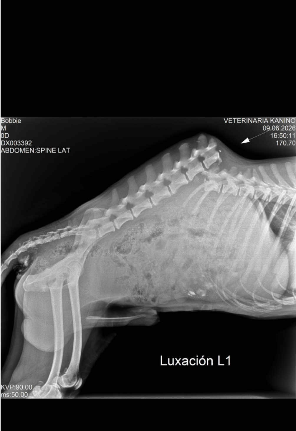 @Cómplices al rescate_11🐾