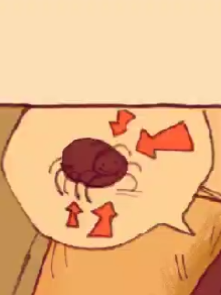 @jude