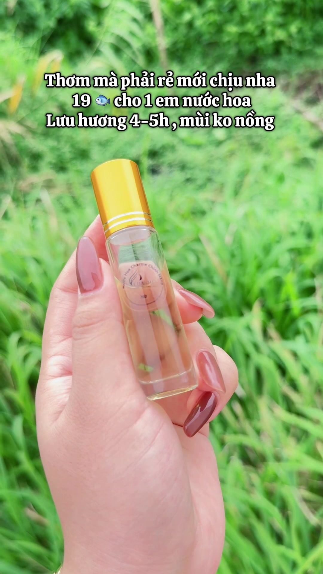 @𝓟𝓱𝓾̛𝓸̛𝓷𝓰𝓰 𝓣𝓱𝔂𝔂🌻