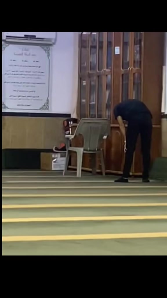 @فانز شمس حموده