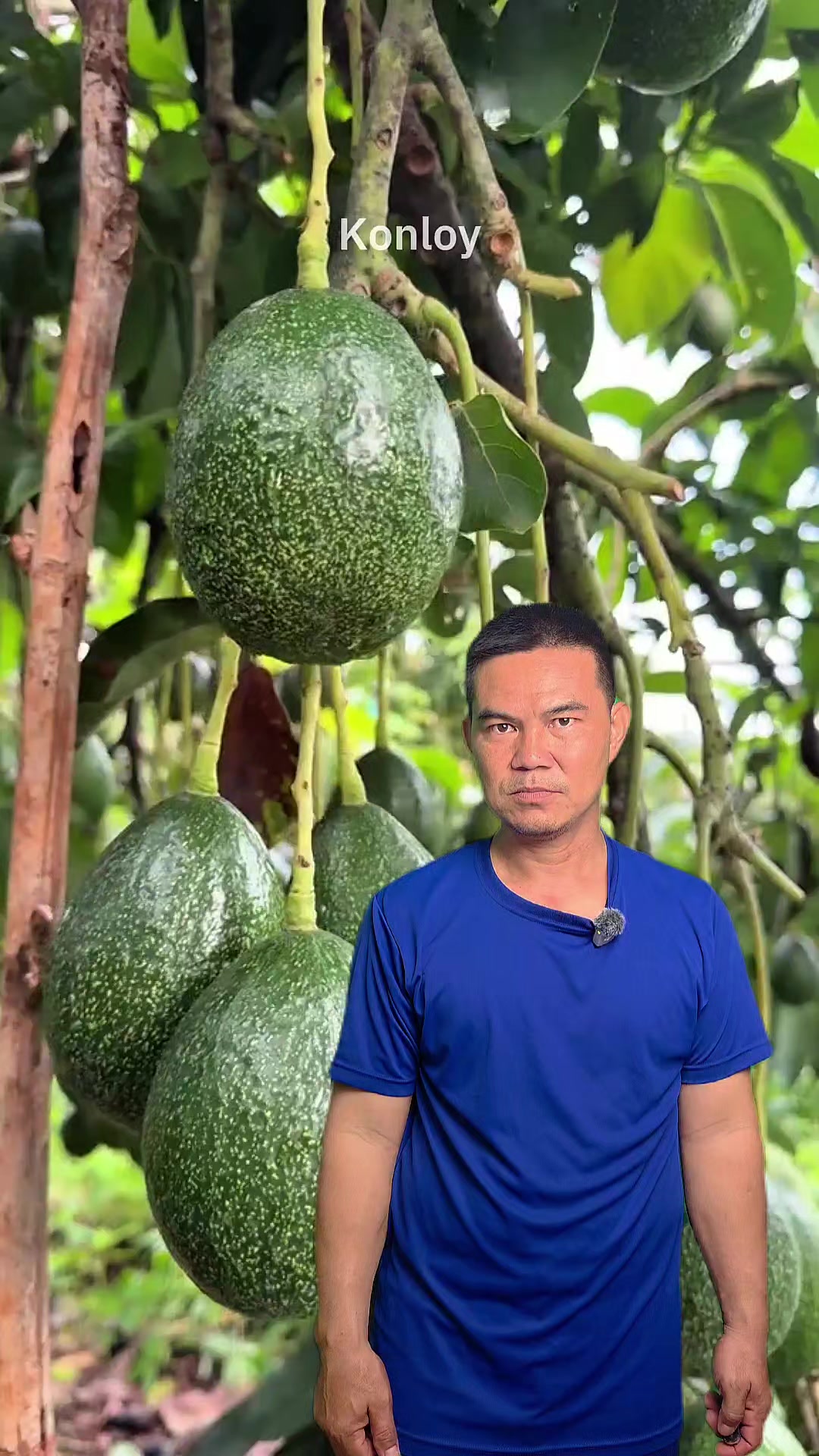 @Konloy