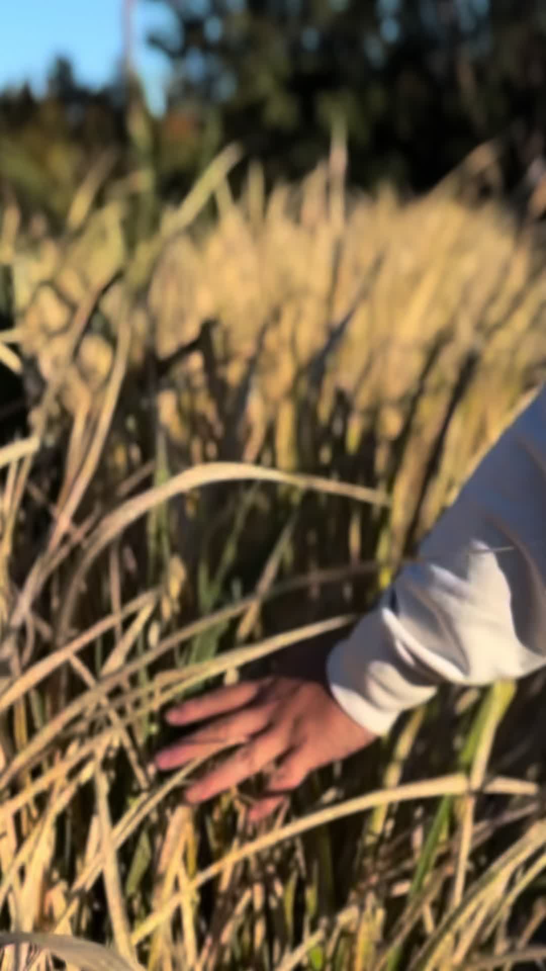 @KOMATOYS VR