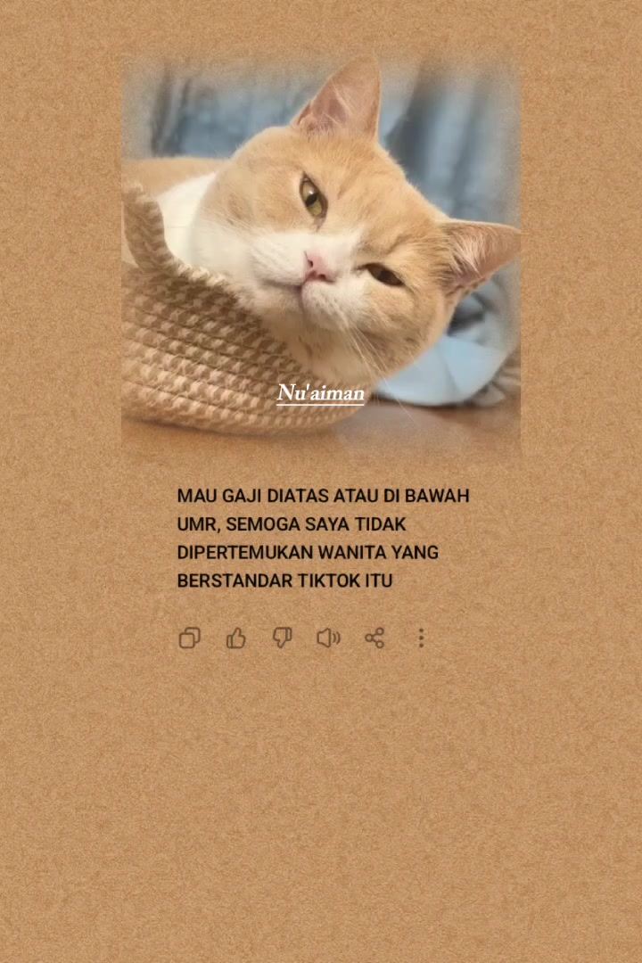 @Nu'Aiman