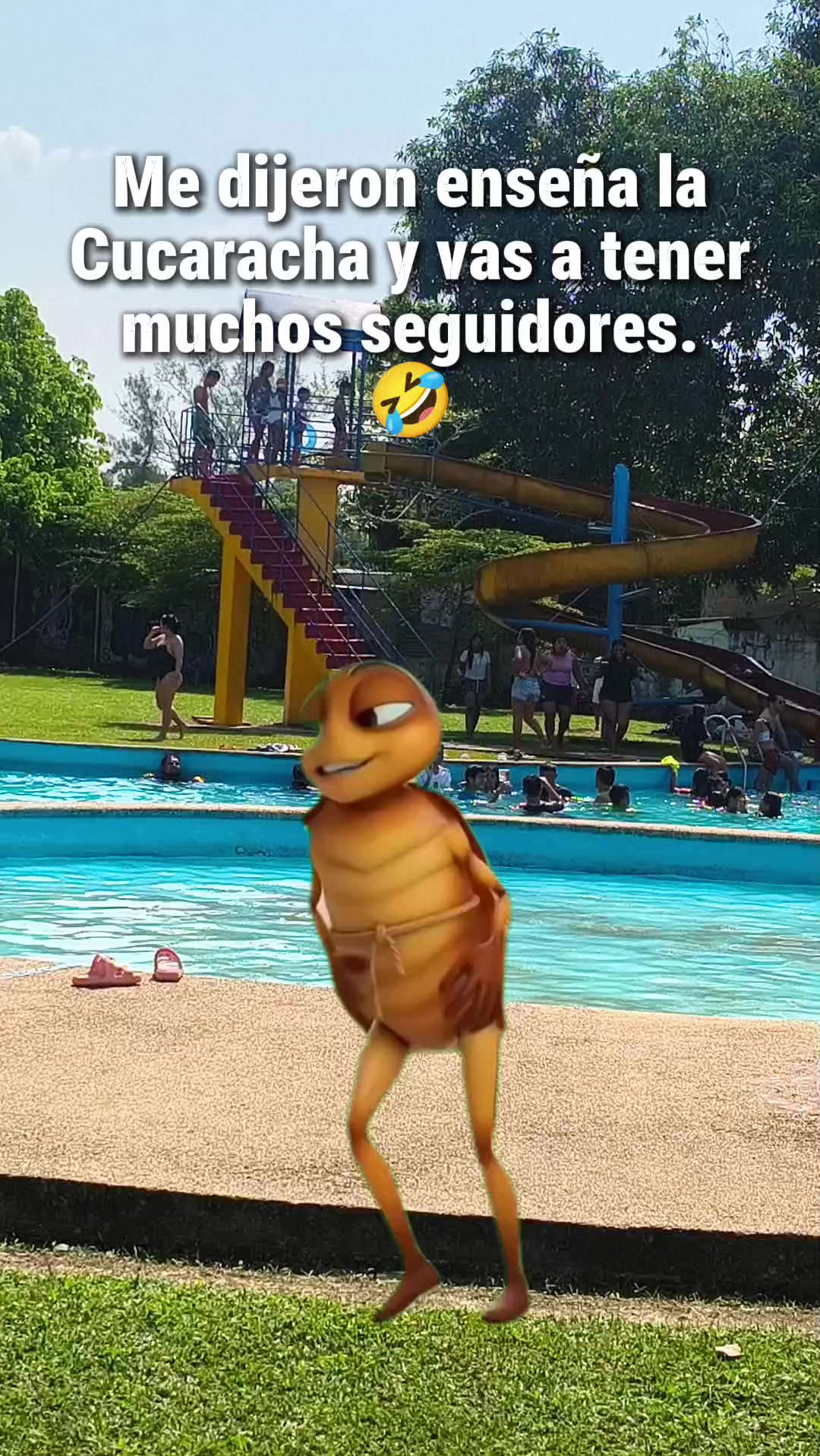 @Lupitaa Rojel
