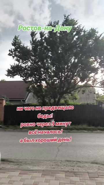 @Светлана Толстикова