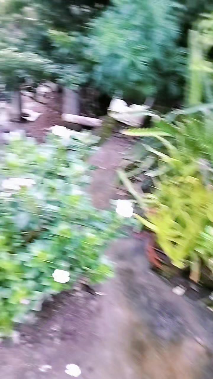 @★彡🥀কাগজের🍂 ফুল🥀彡★