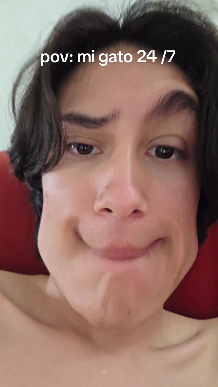 @felsito