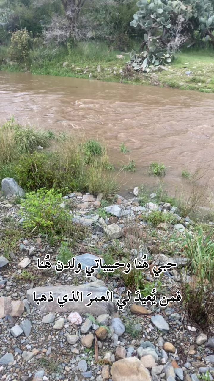 @هداج الغامدي ( رجُل التاريخ )