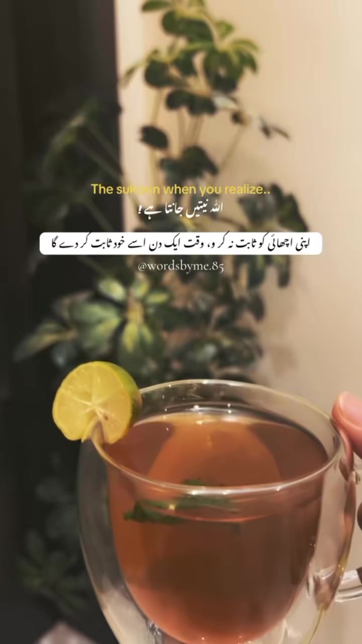 @Quran vibes✨