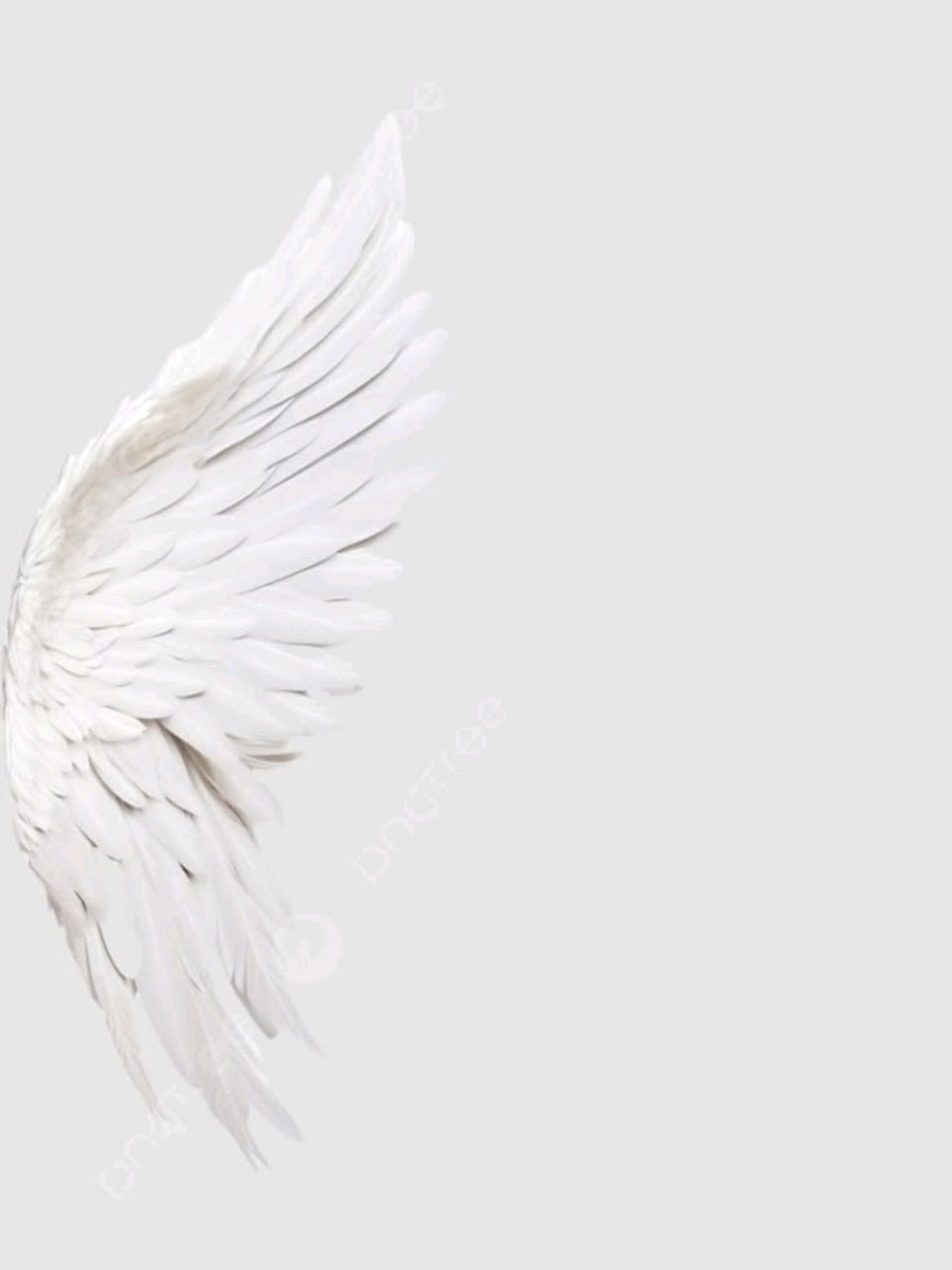 @💫Åřĩñķå💫