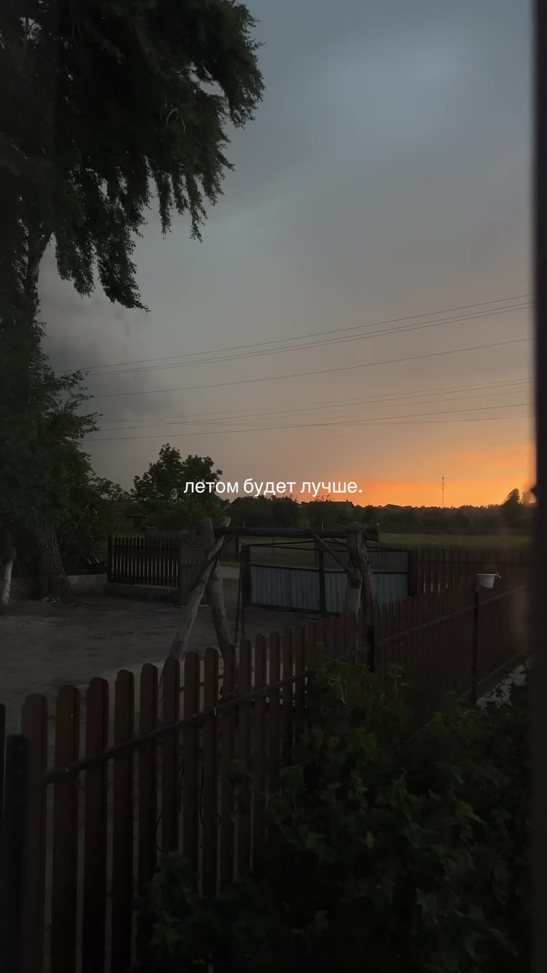 @lasqwx