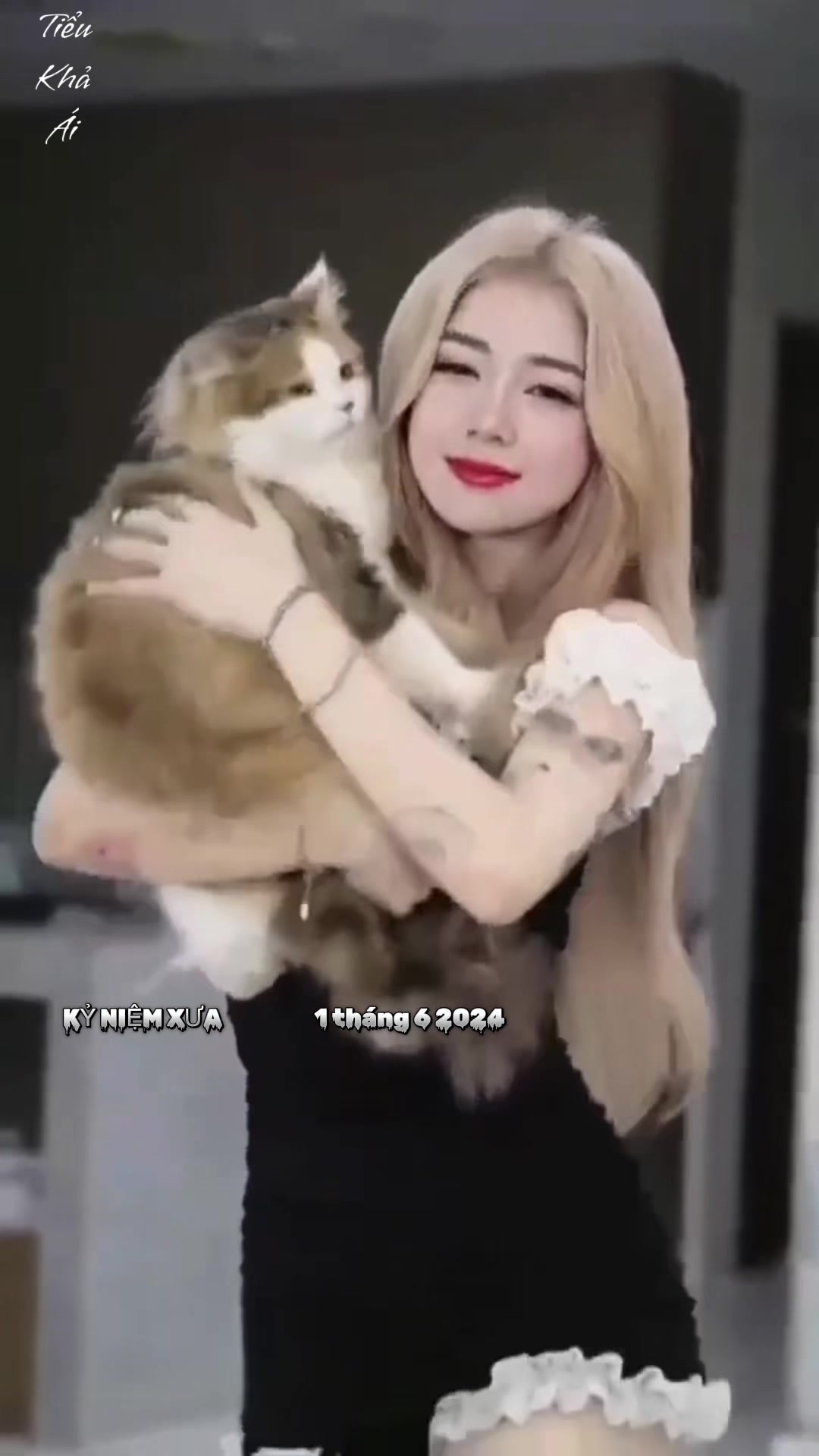 @𝕋𝕀Ể𝕌 𝕂ℍẢ &Aacute;𝕀🍁小可爱🍁