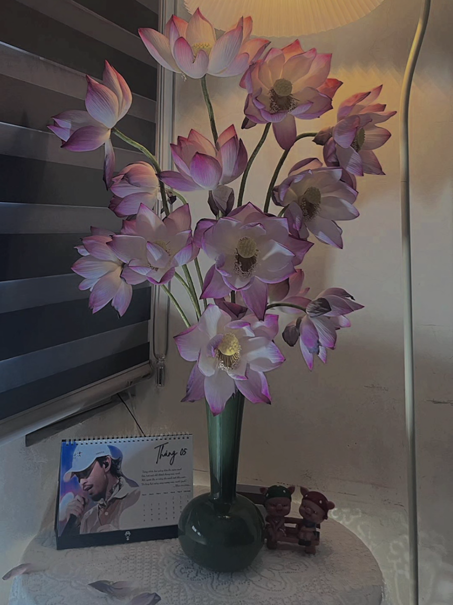 @Cộng Đồng Đồng &Acirc;m
