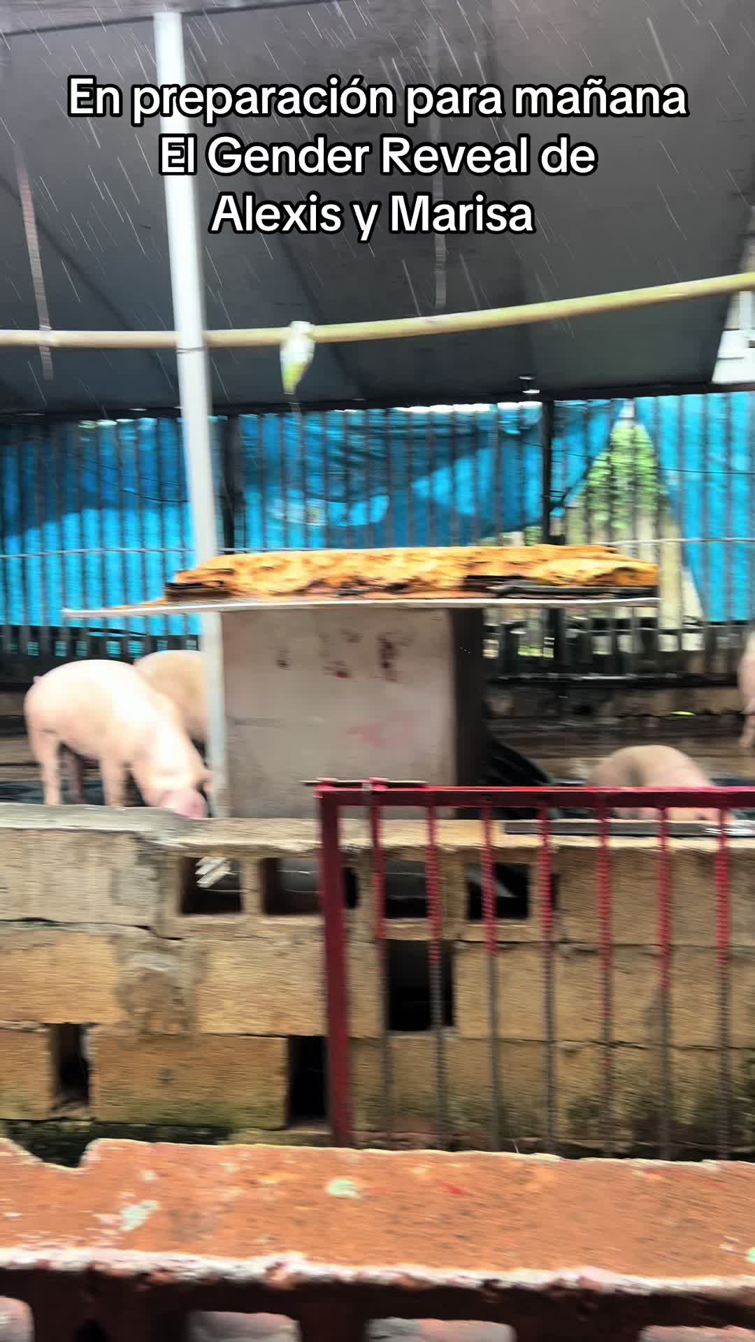 @𝐄ᥣ𝗂ƶαᑲ𝖾𝗍ɦ 𝐀ᥣ𝗏α𝗋𝖾ƶ