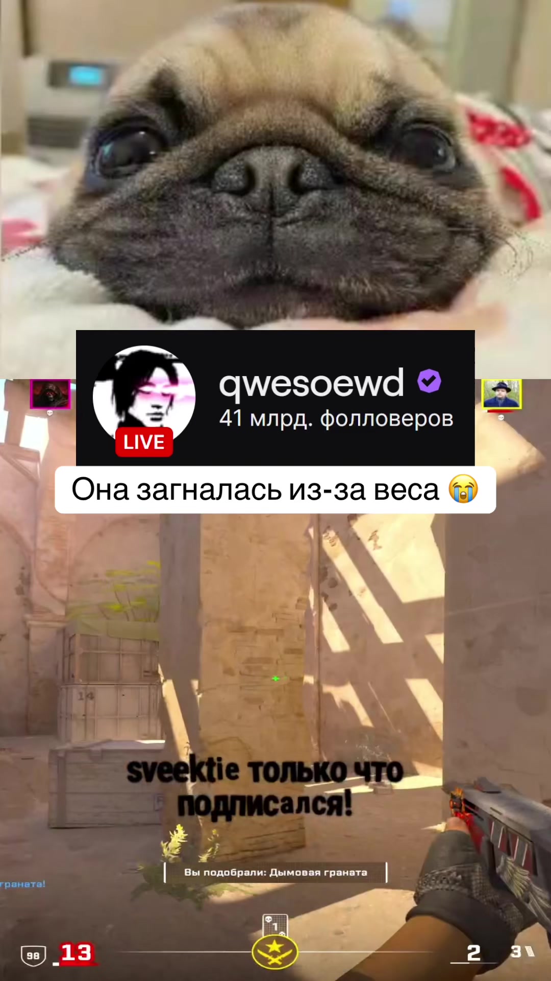 @qwesoewd_official