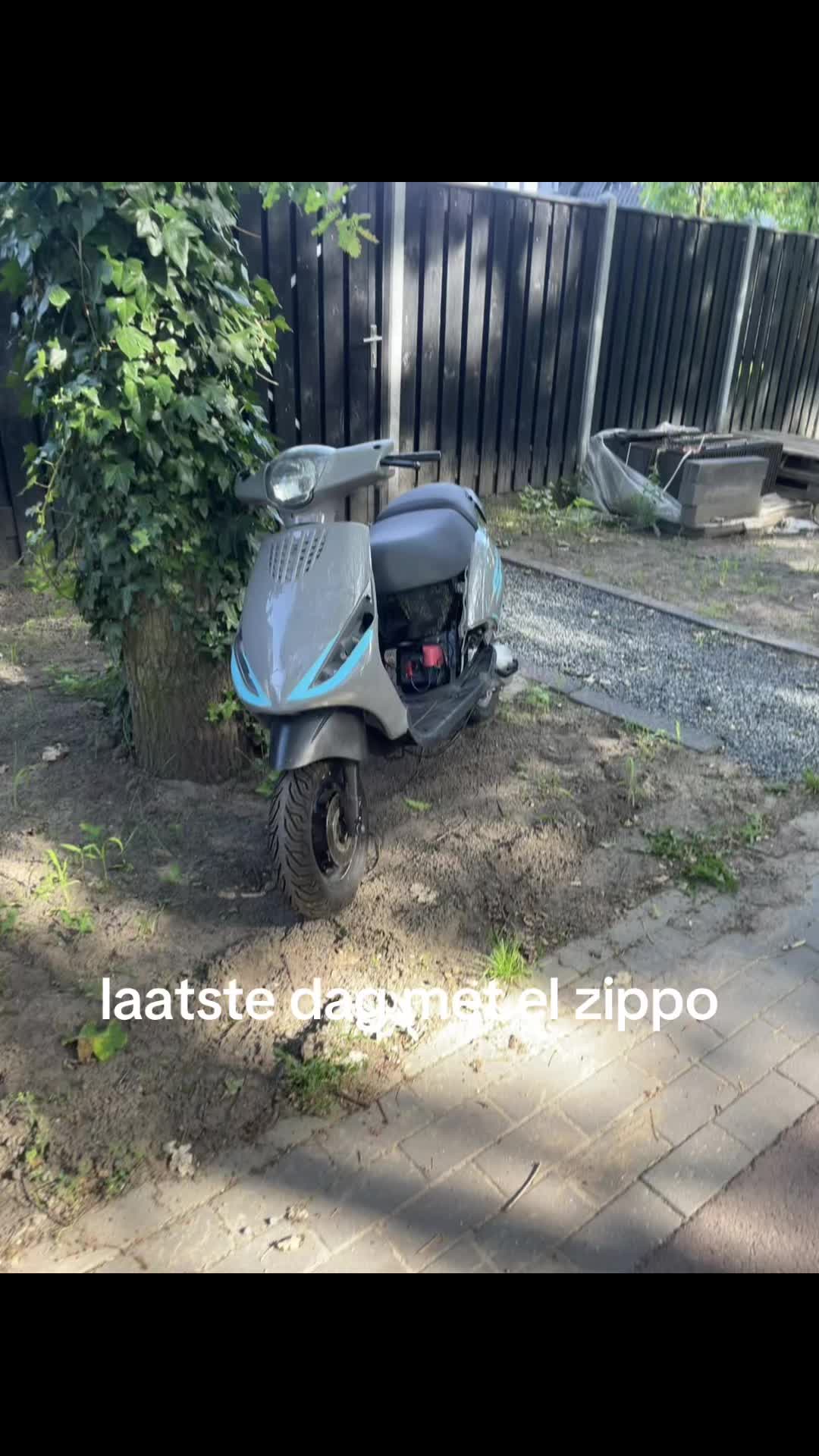 @d0318vr