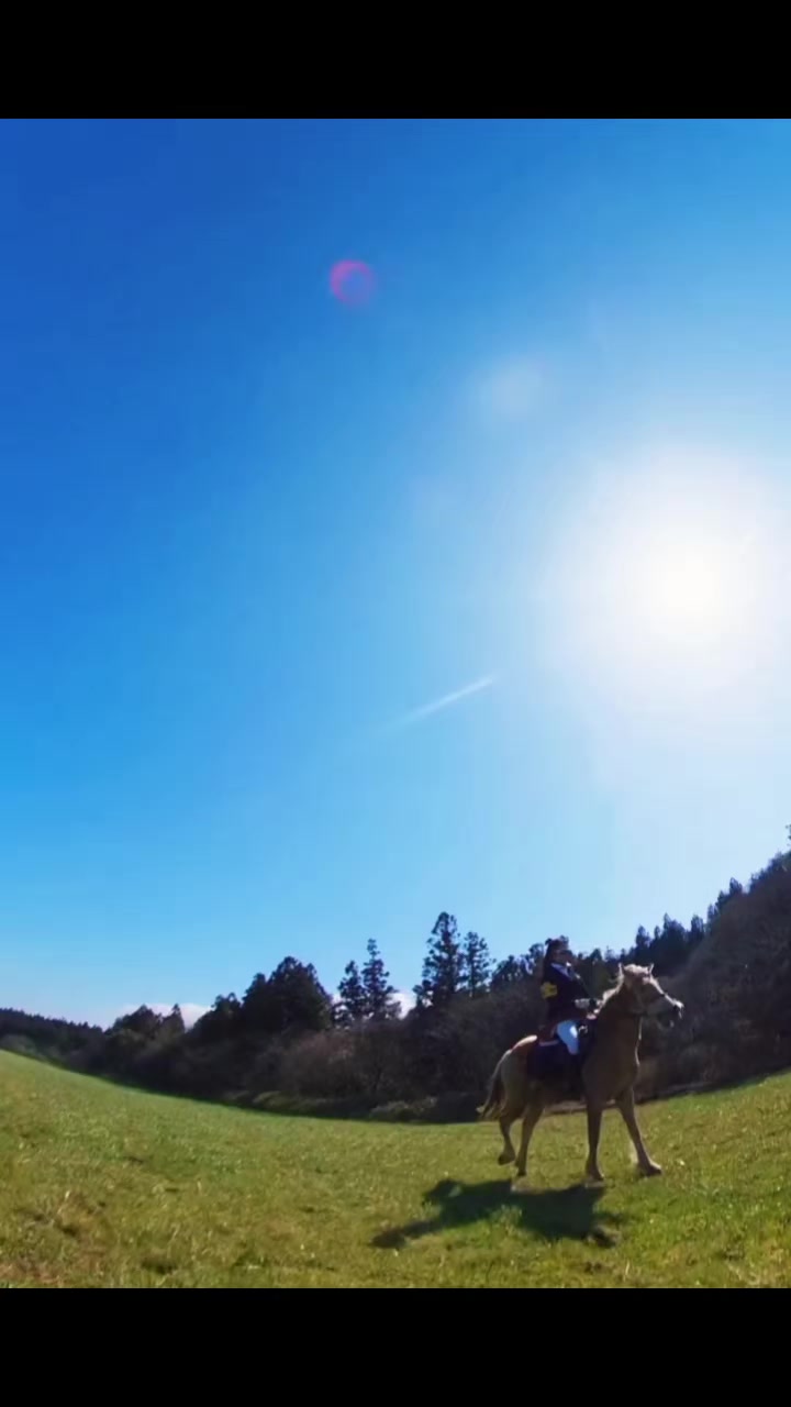 @🐎타는바린이🏍