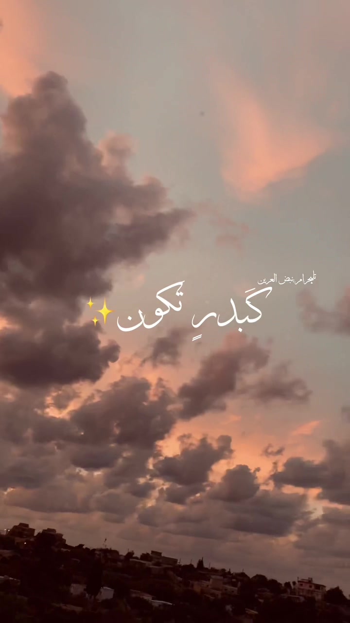 @نَبض العَرين 🔻
