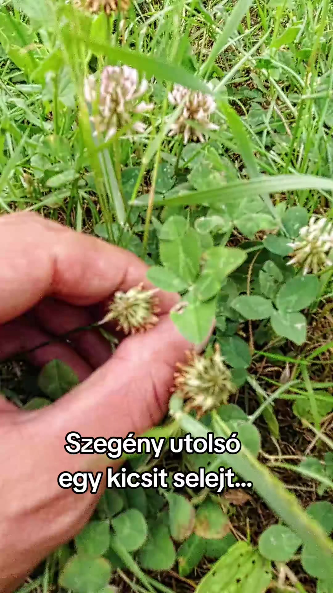 @đđąđđĄđđ«đ
