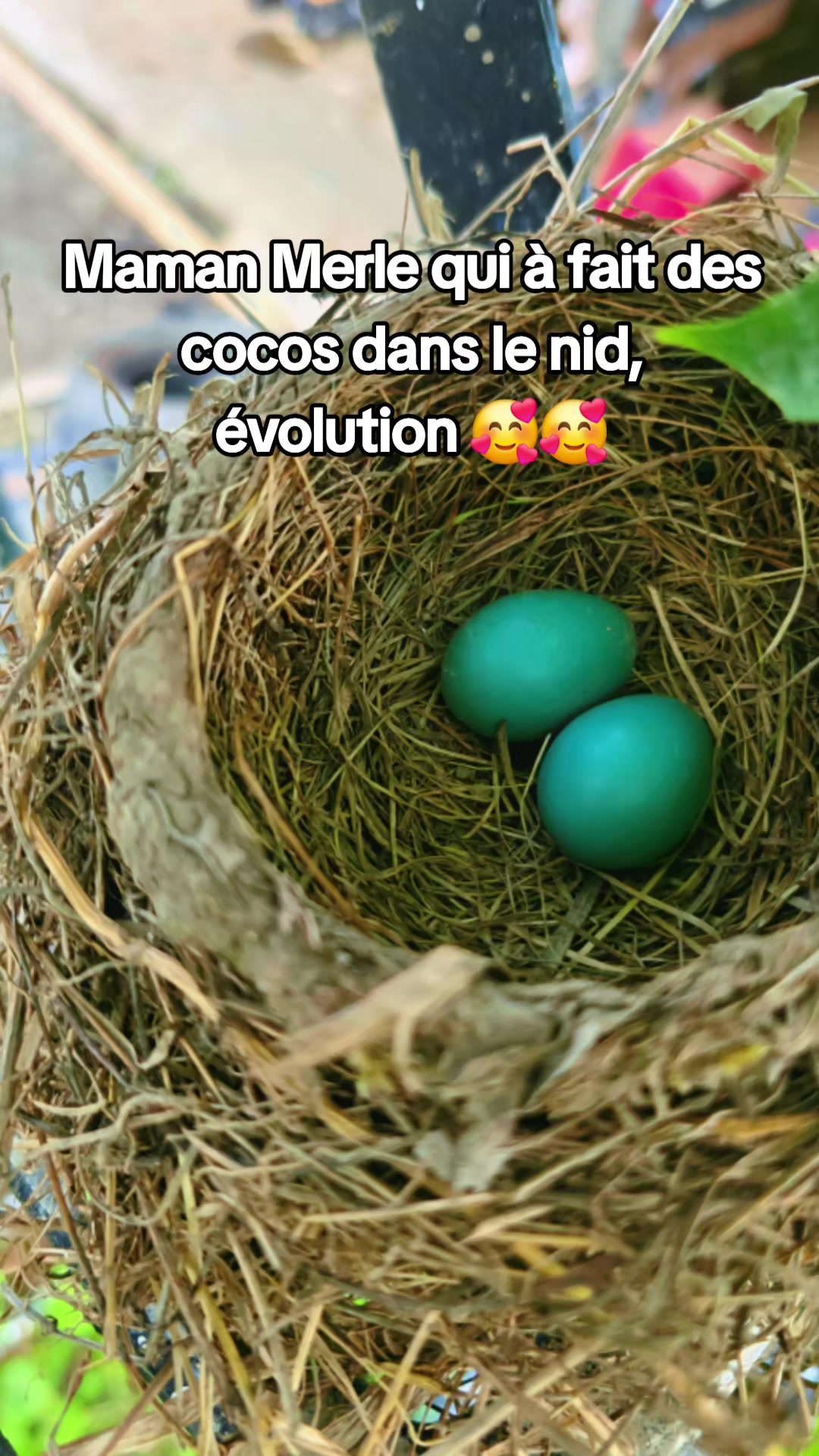 @La Redneck du Québec 🤠🤟🏻🥰