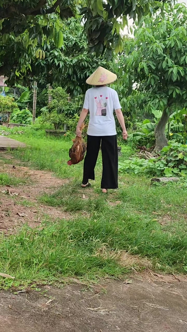 @P H Ư Ớ C _ H O À N G