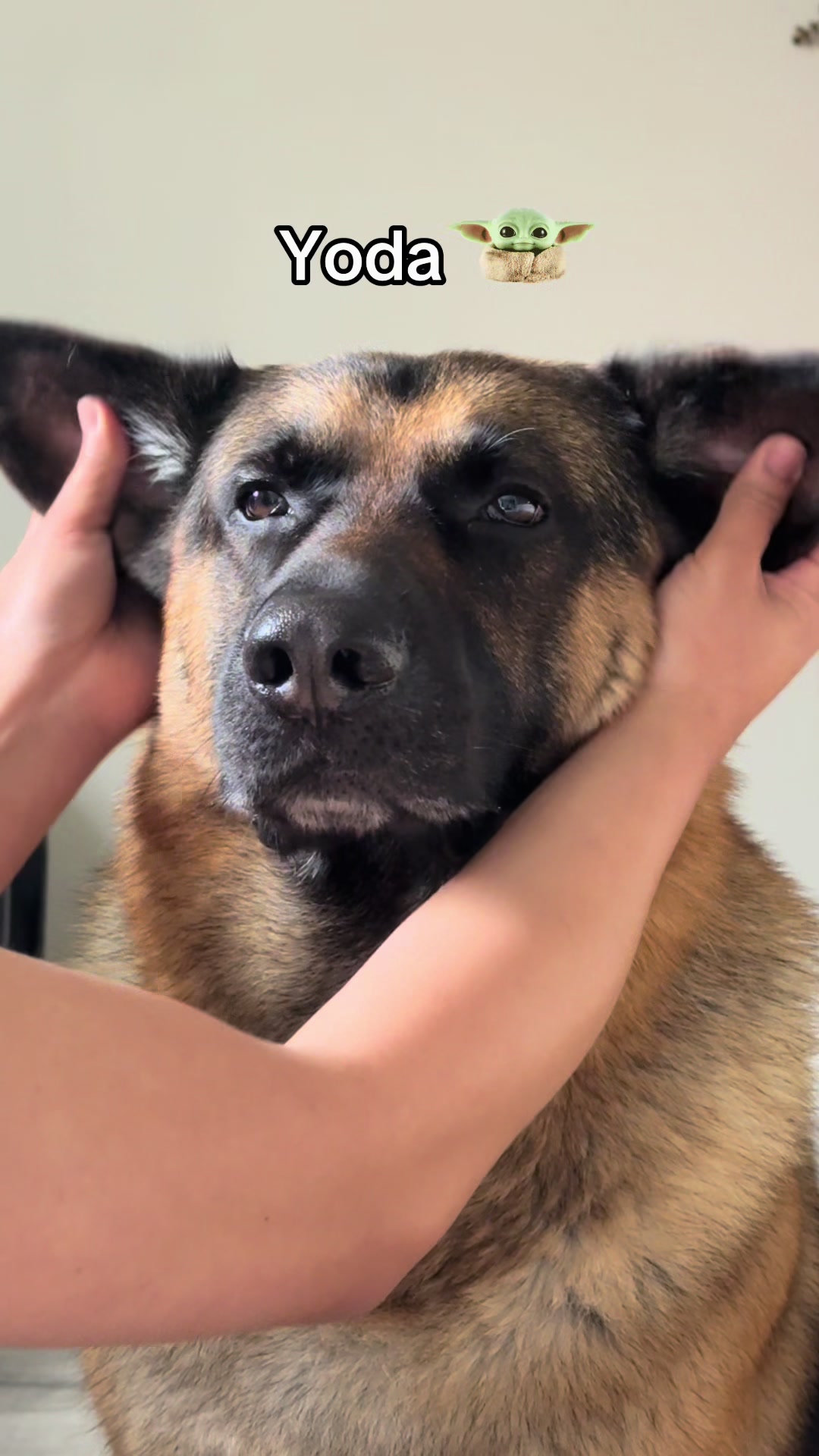 @Martygsd