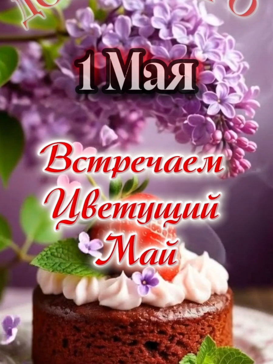 @👑Лилия 👸 Liliya 👑