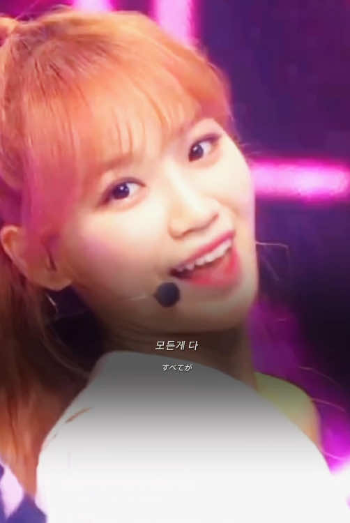 @๐ฆฉ๐ค