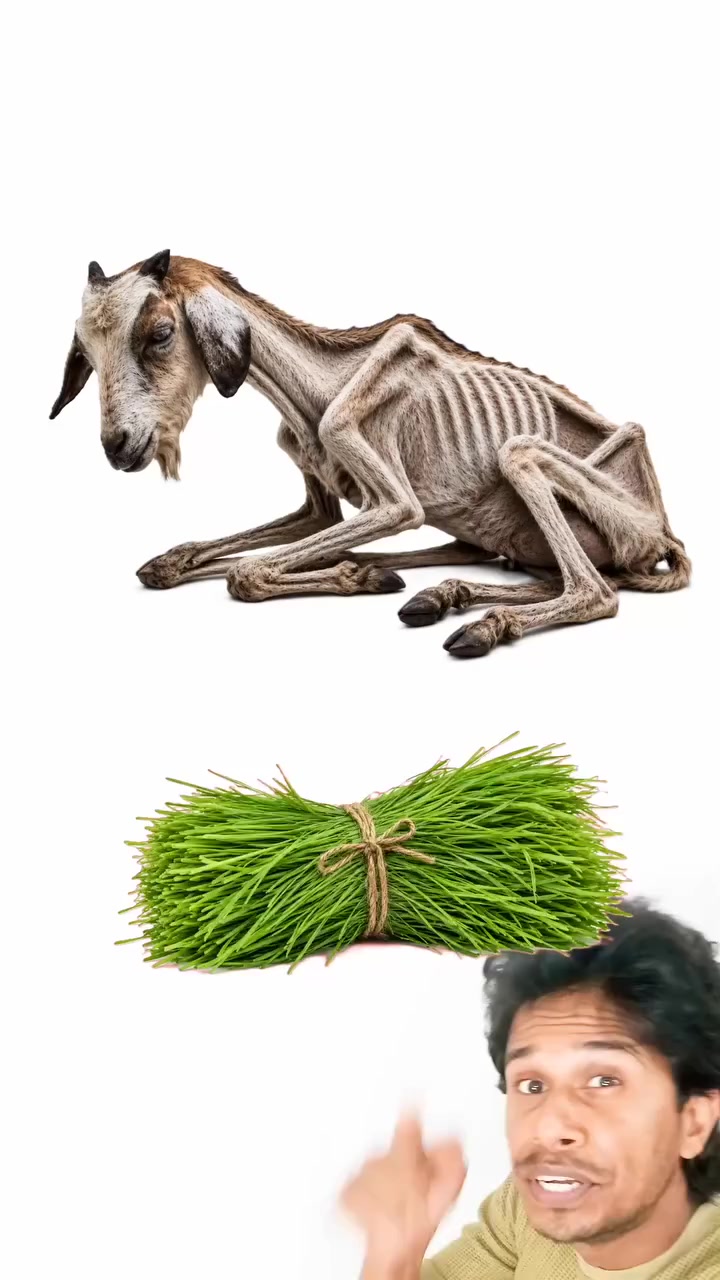 @PRAJAPATI
