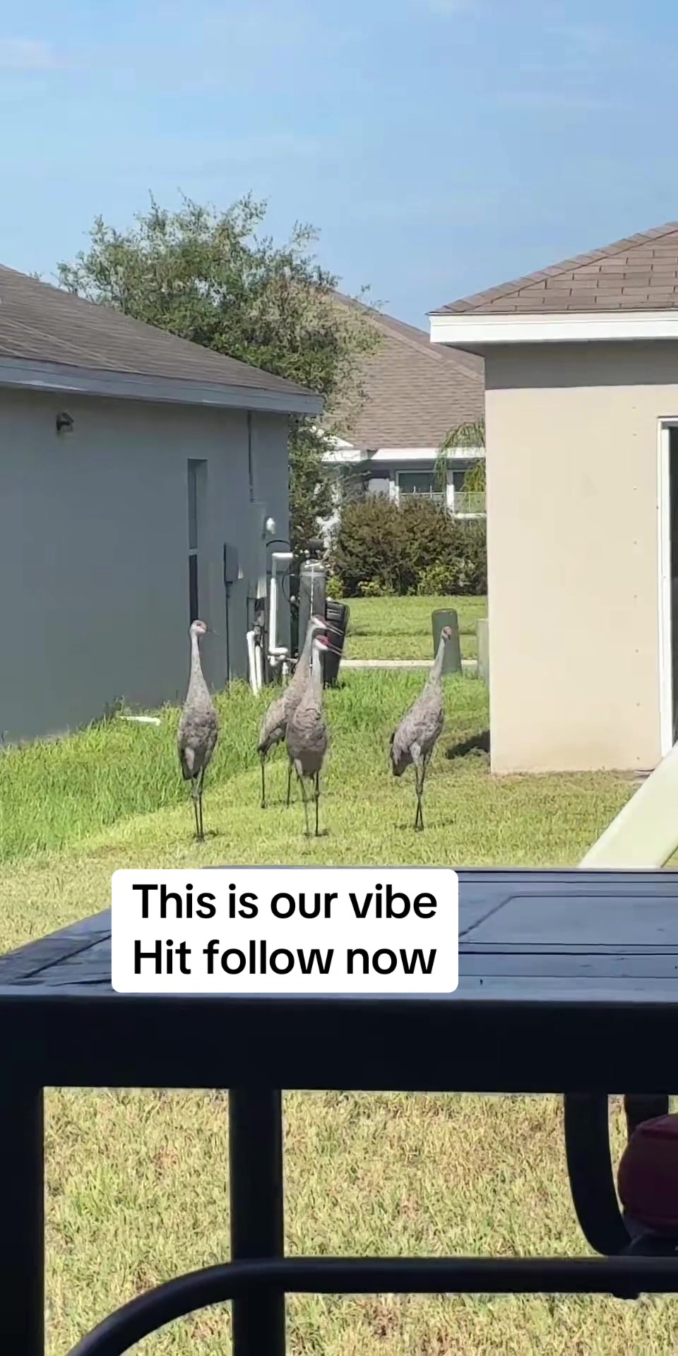 @Kitasstylez