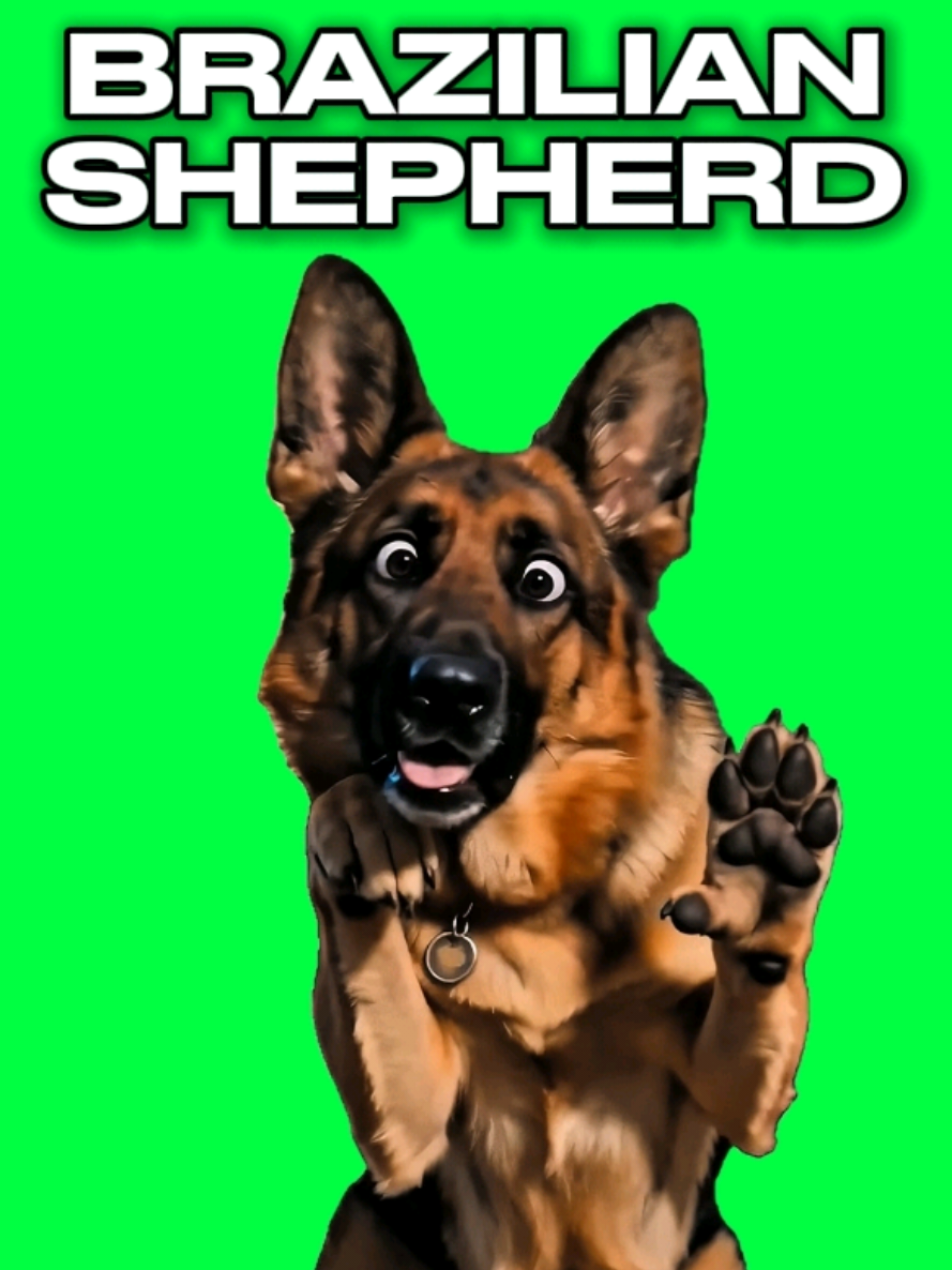 @MemeScreens