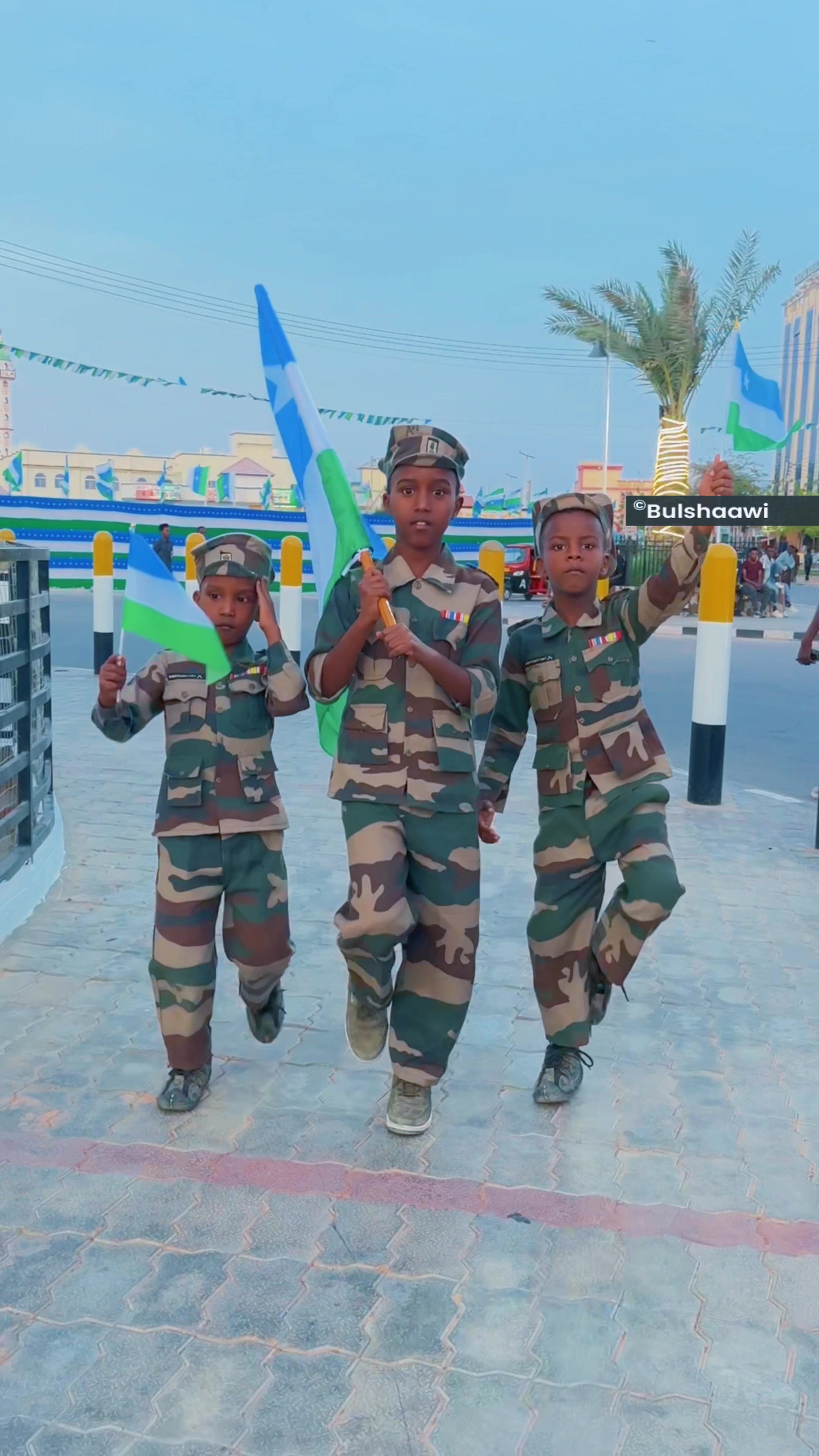 @Abdirahman Bulshaawi