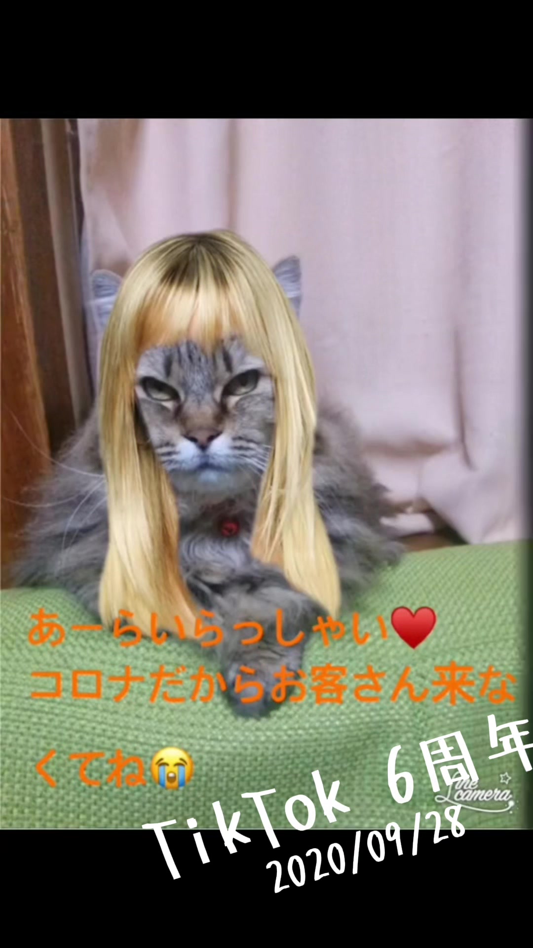 @꙳⋆🧸T⃝O⃝W⃝A⃝ 🧸⋆꙳