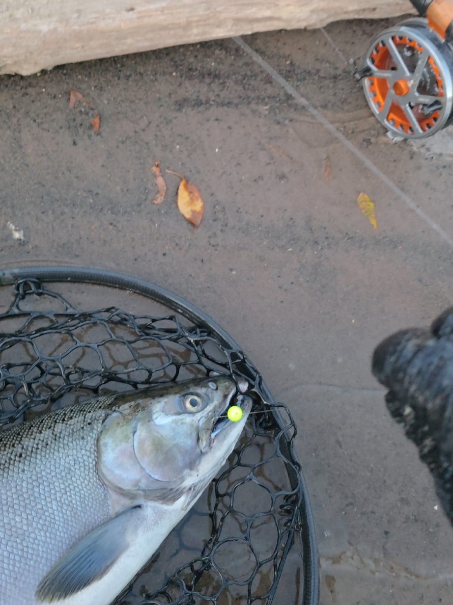 @the360angler