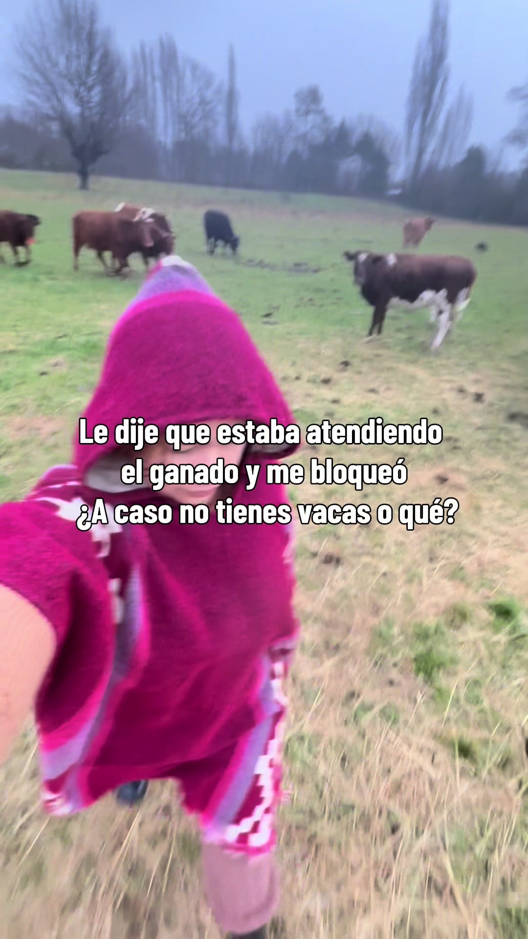 @Yulissa Minchiqueo