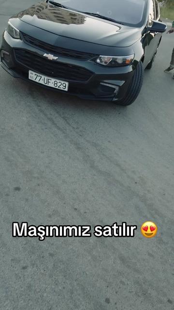 @Narin__dekor__evi
