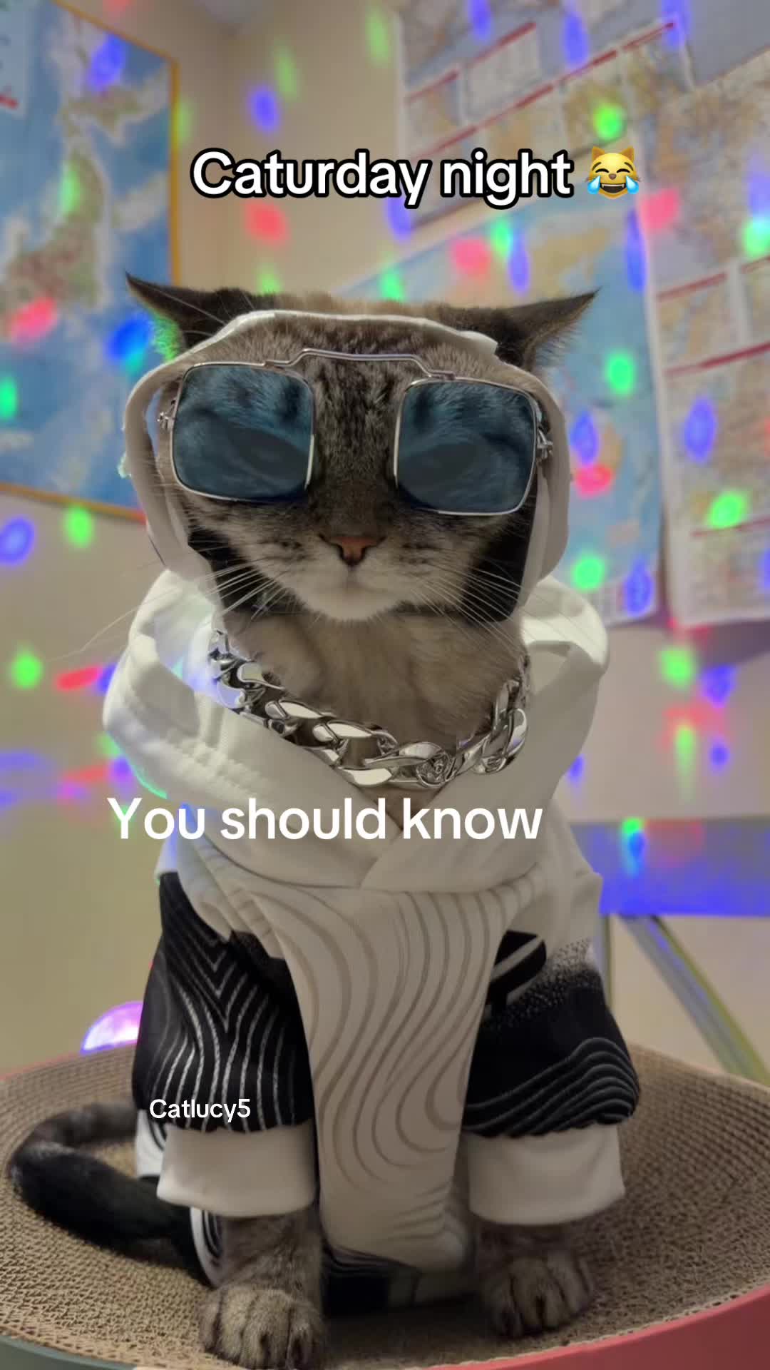 @Cat Lucy
