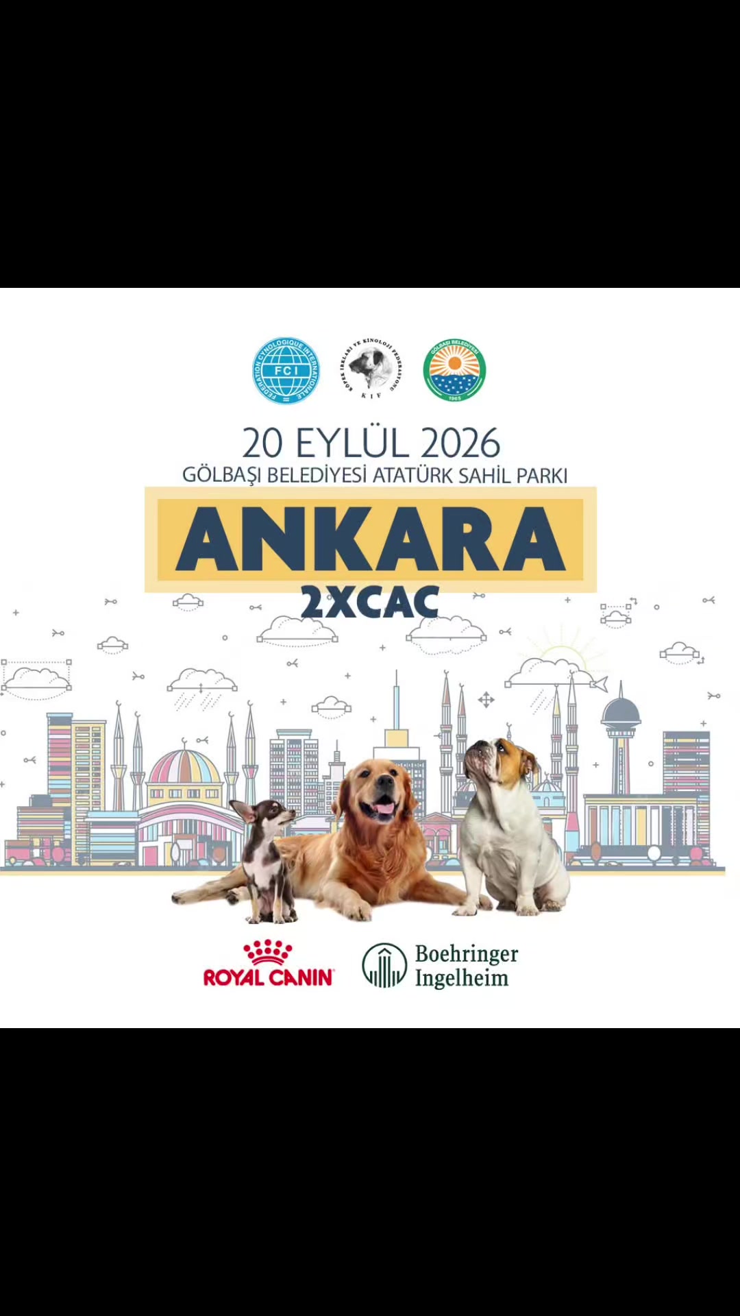 @Bosphorus Bulls French Bulldog