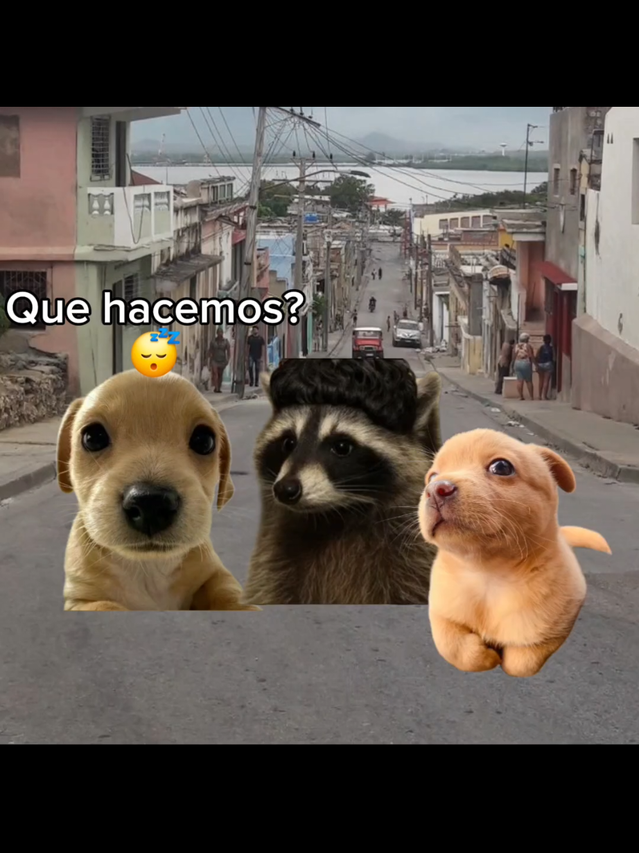 @El Perrix