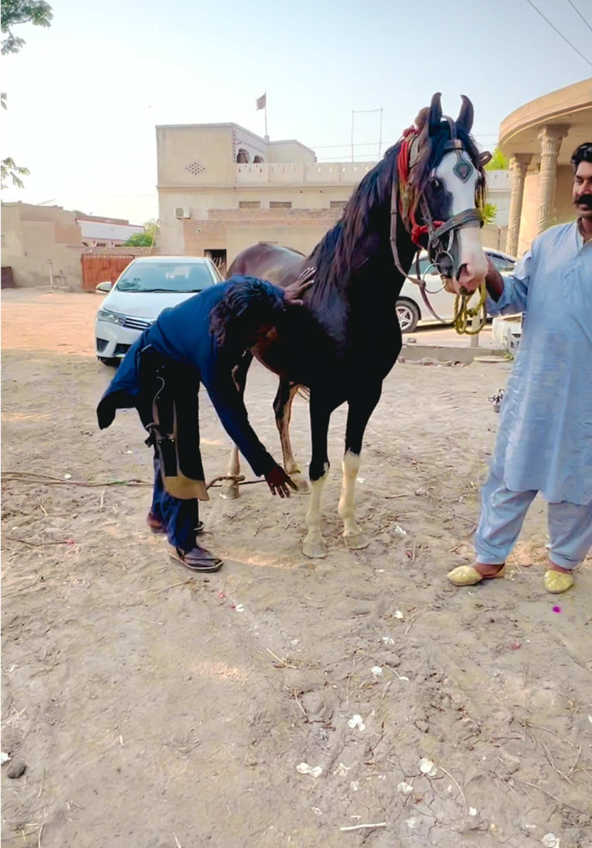 @makhdoomawaisshahoffcial
