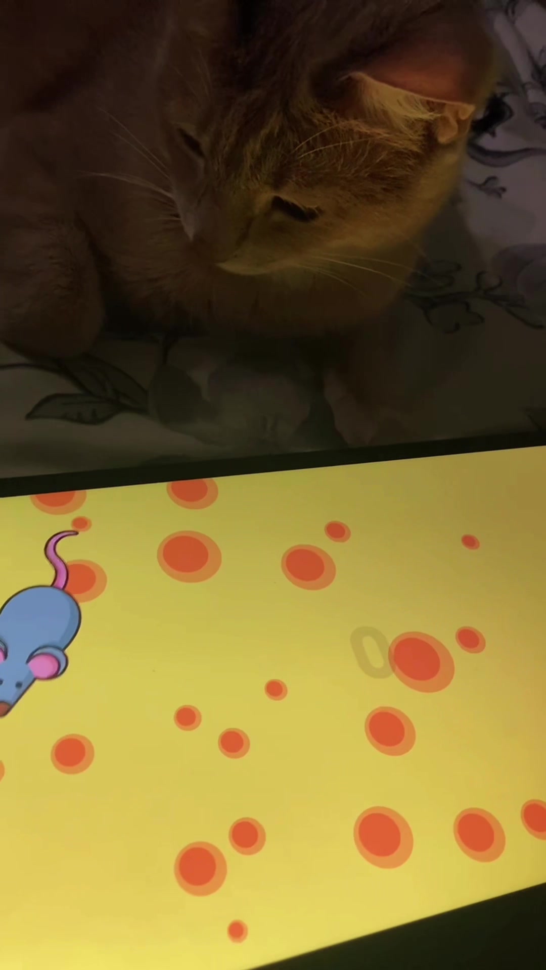 @Lis