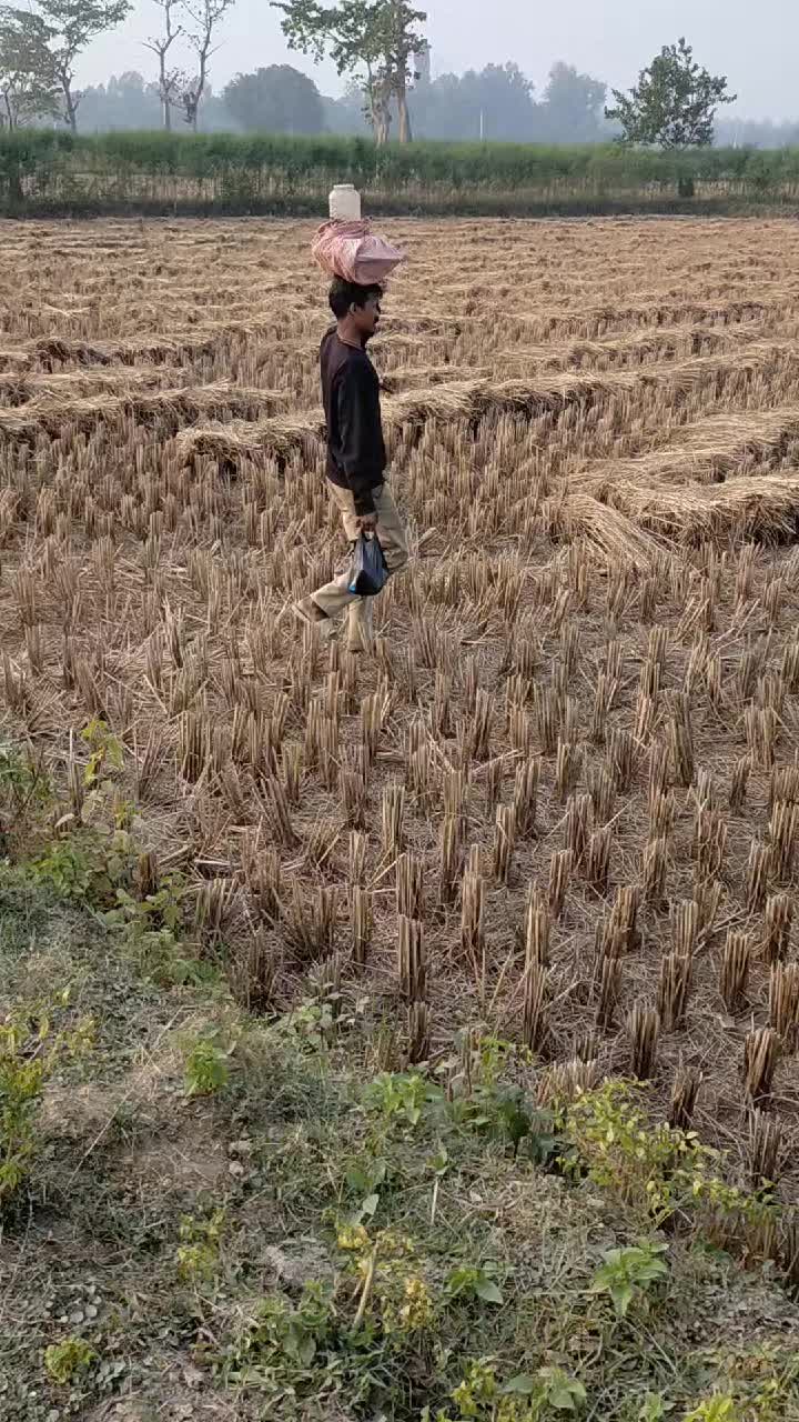 @Manish Yadav