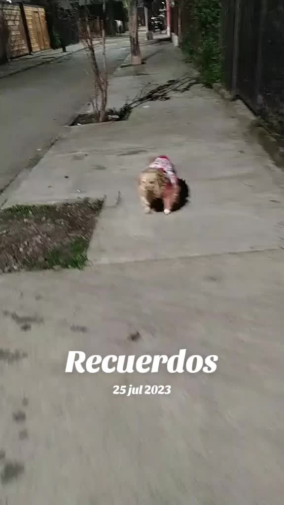 @Canelita@la bonita